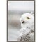 Snowy Owl in the Snow by Carrie Ann Grippo-pike Canvas Art Framed